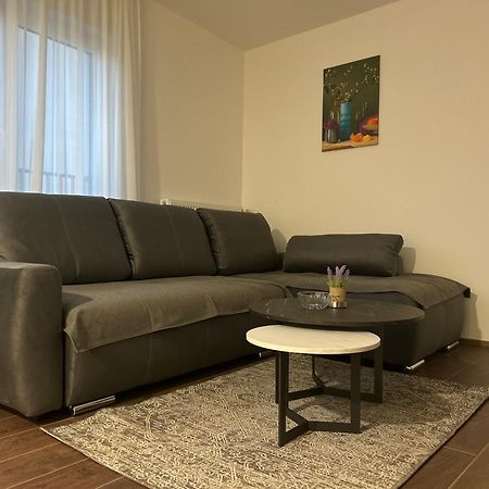 Vila Drina Apartments Banja Koviljaca Bagian luar foto