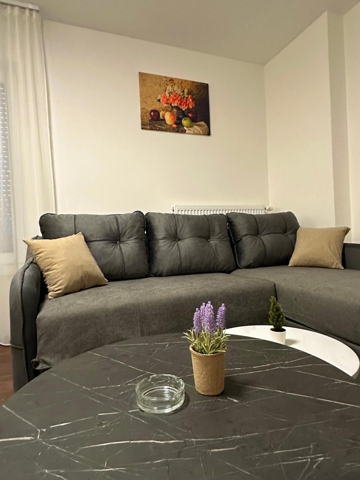 Vila Drina Apartments Banja Koviljaca Bagian luar foto