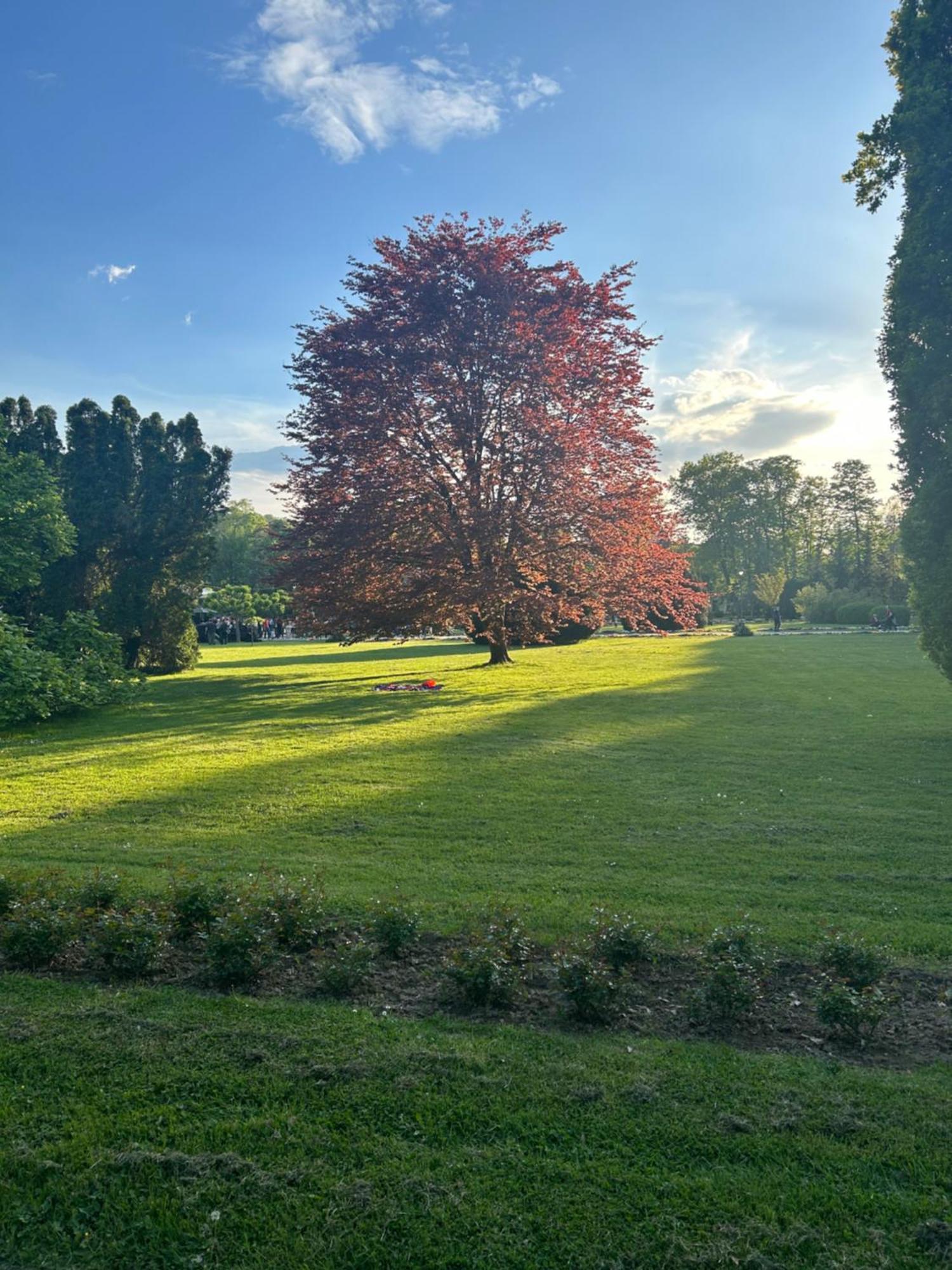 Vila Drina Apartments Banja Koviljaca Bagian luar foto