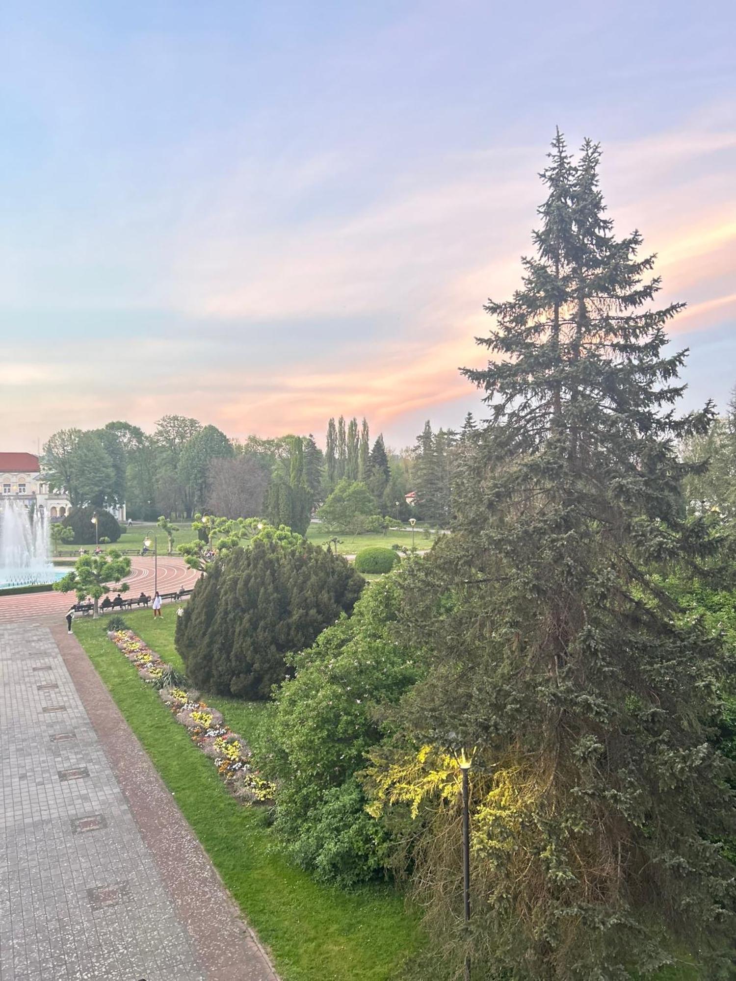 Vila Drina Apartments Banja Koviljaca Bagian luar foto